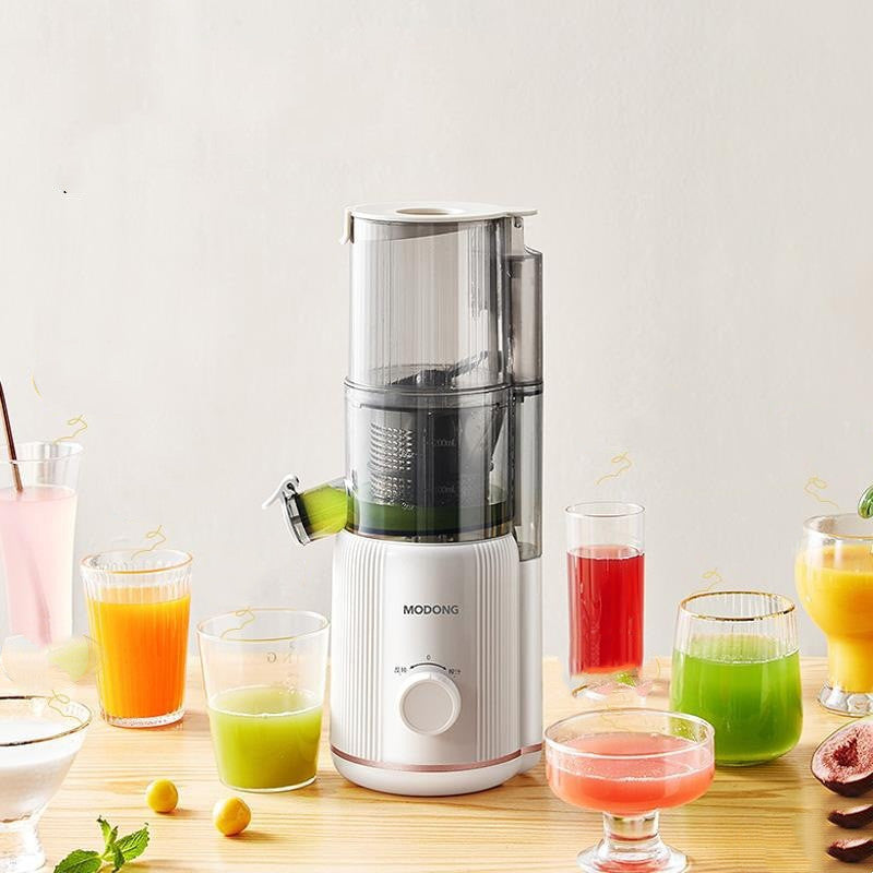 Juicer Juice Residue Separation Household Multi-function