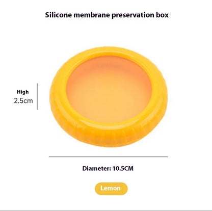 Fruit Storage Box Vegetable And Fruit Crisper